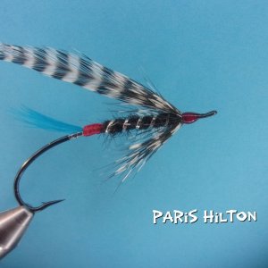 Paris Hilton.jpg
