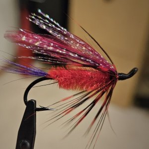 20241015_214815.jpg