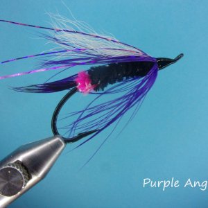 Purple Angel.jpg