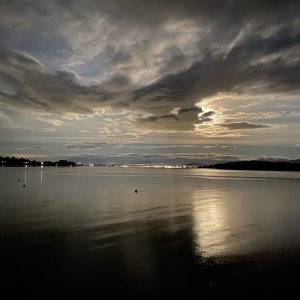 IMG_6731.jpeg