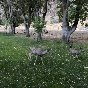 IMG_3856.jpeg