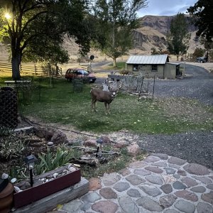 IMG_3864.jpeg