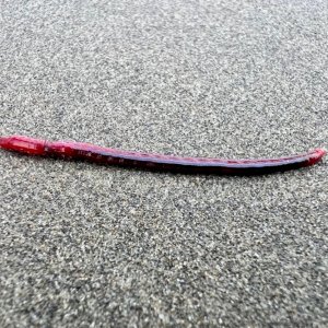 IMG_4406.jpeg