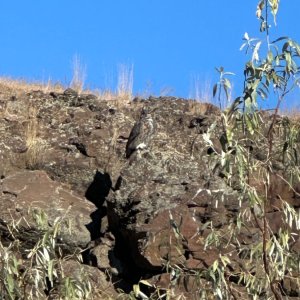 IMG_3175.jpeg