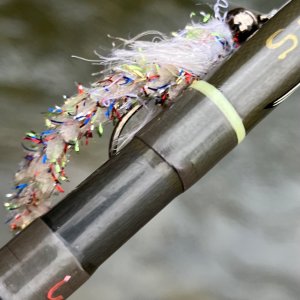 IMG_6099.jpeg