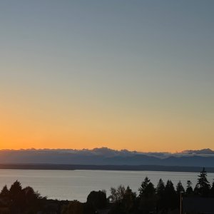 IMG_9557.jpeg