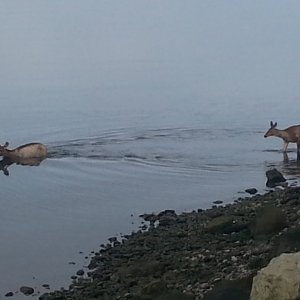 20170504_082036.jpg