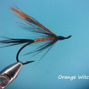 Orange witch.jpg