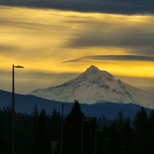 20241030_084245.jpg
