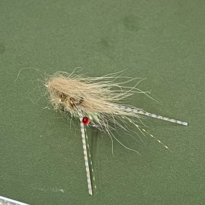 IMG_5527.jpeg