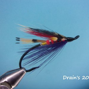 Drain's 20.jpg