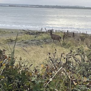 IMG_4613.jpeg