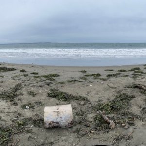 IMG_4631.jpeg