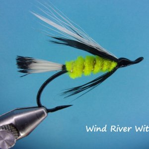 Wind River Witch.jpg