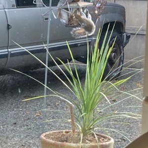 IMG_0438.jpeg