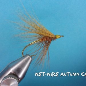 Wet Wire Autumn Caddis.jpg