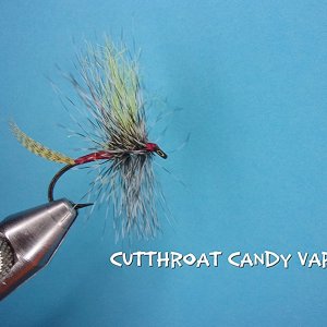 Cuttroat Candy.jpg