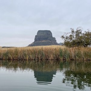 IMG_4681.jpg