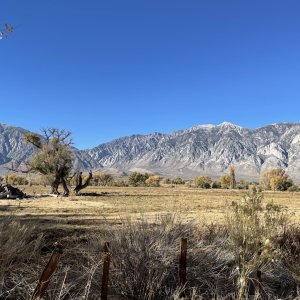 IMG_3926.jpeg