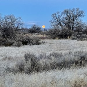 IMG_4704.jpg