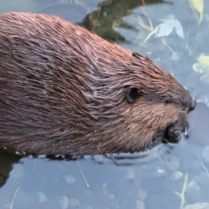 IMG_0075.jpeg