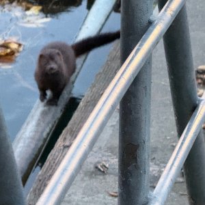 IMG_0063.jpeg