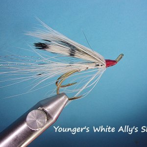Younger's White Ally's Shrimp.jpg