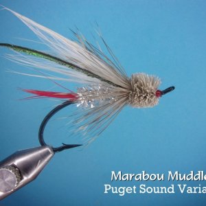 Marabou Muddler.jpg