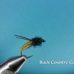 Rod's Back Country Caddis.jpg