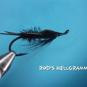 Rod's Hellgrammite3.jpg