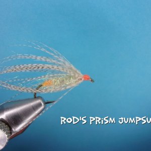 Rod's Prism Jumpsuit.jpg