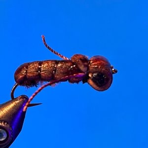 IMG_5180.jpeg