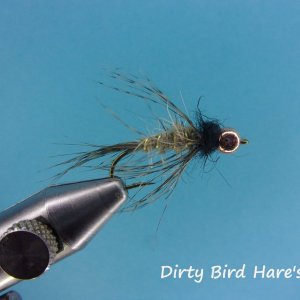 Dirty Bird Hare's Ear.jpg