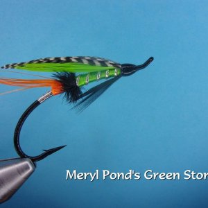 Meryl Pond's Green Storm.jpg