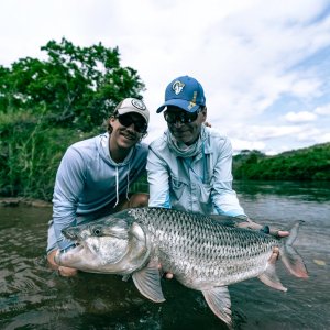 TANZ Tigerfish Dylan-rose.JPG