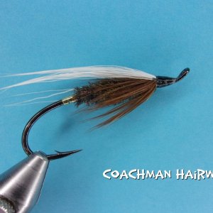 Coachman Hairwing.jpg