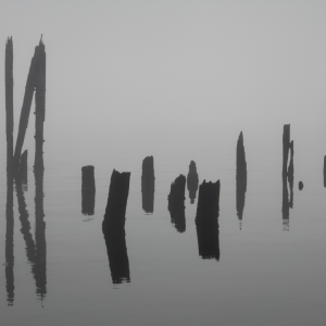 1733102033700.png