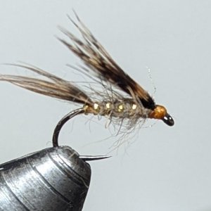 PXL_20241202_020318940.jpg
