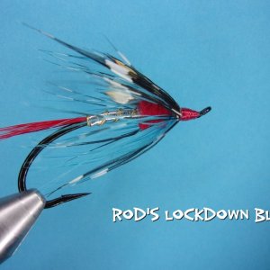 Rod's Lockdown Blues.jpg