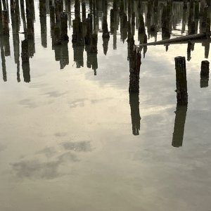 IMG_2907.jpeg