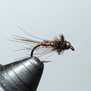 PXL_20241205_205507942.jpg