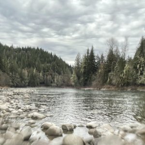 IMG_8109.jpeg