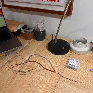 IMG_9559.jpeg