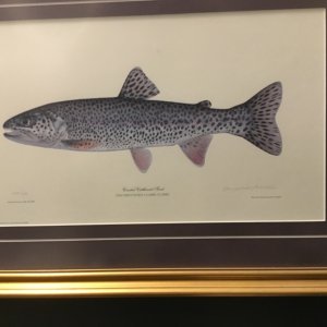 IMG_3733.jpeg