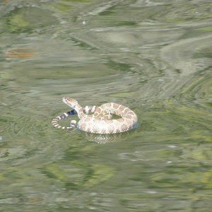 IMG_0294.jpeg