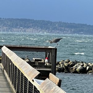 IMG_0053.jpeg