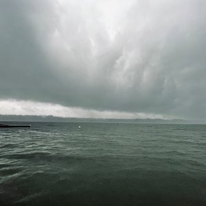 IMG_9988.jpeg