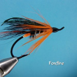Foxfire.jpg