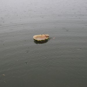 IMG_0145.jpeg