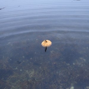 IMG_0137.jpeg